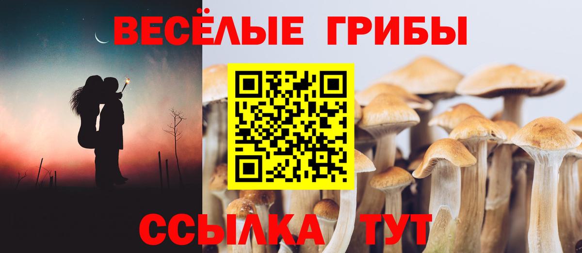 Псилоцибиновые грибы мицелий  Вход с VPN  Каменск-Уральский  Псилоцибиновые грибы мухоморы 